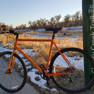 2015 Raleigh Roper