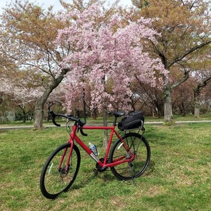 2017 Marin Bikes Lombard Red