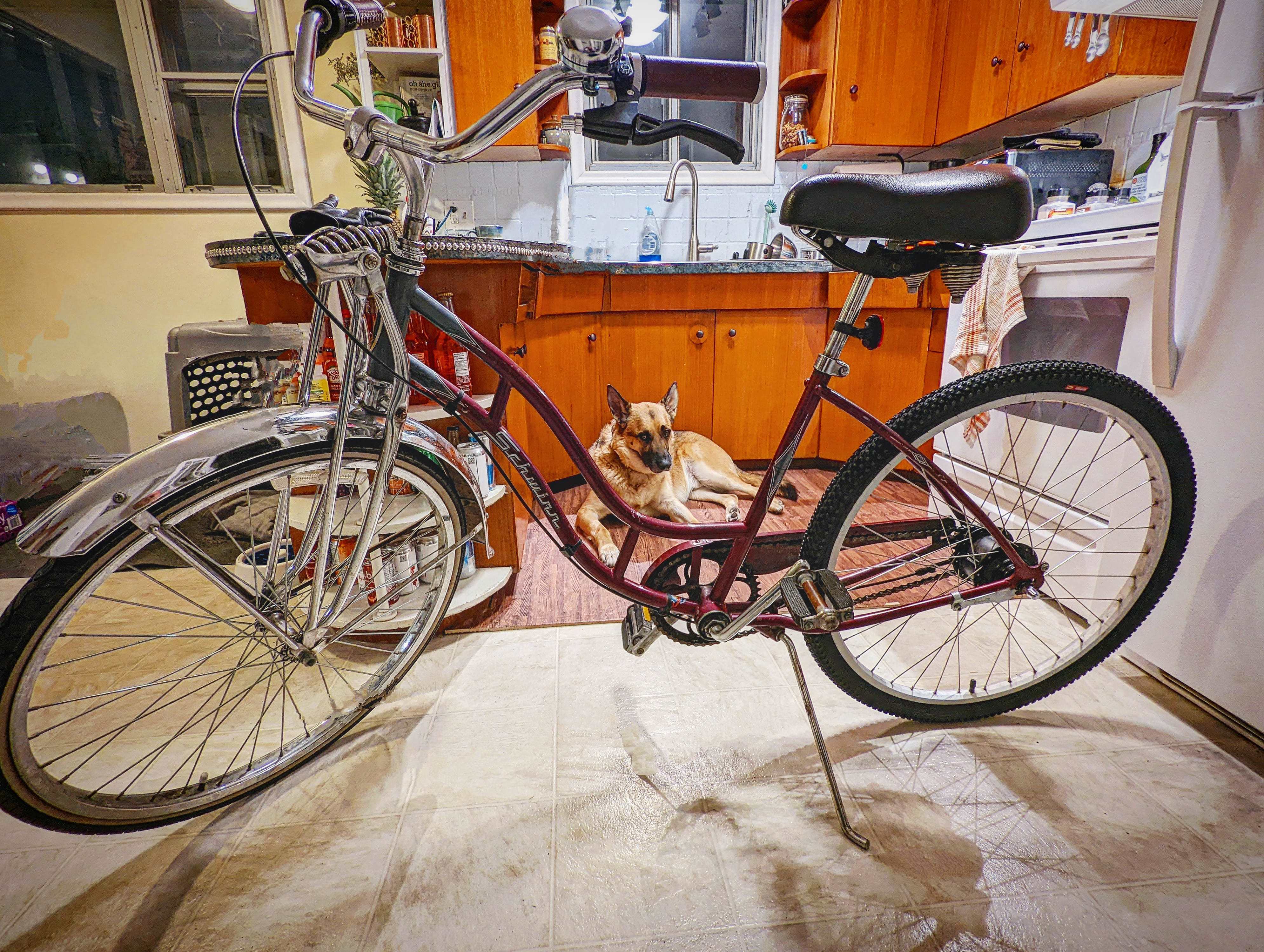 schwinn classic cruiser zwift