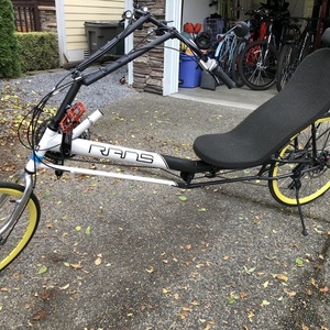 2021 Phoenix Phoenix recumbent White