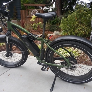 2020 Rad Power Bikes Rover Green
