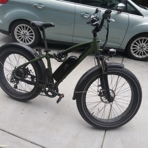 2020 Rad Power Bikes Rover Green