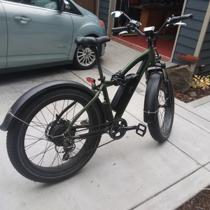 2020 Rad Power Bikes Rover Green