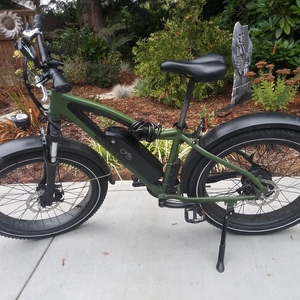 2020 Rad Power Bikes Rover Green