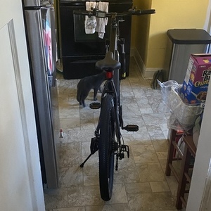 TotGuard T-266 Black