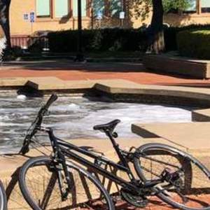 2015 Trek FX Black