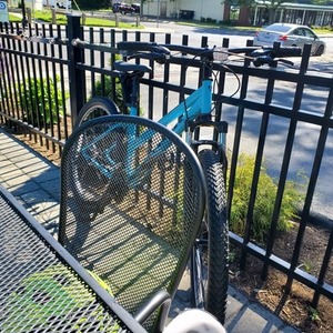 2020 Trek Model 17230 Teal