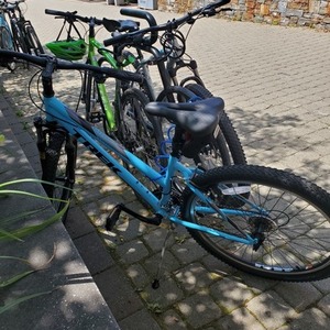 2020 Trek Model 17230 Teal