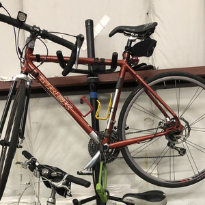 2007 Trek Portland