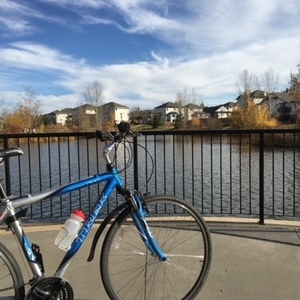 2007 Trek 7100 Blue