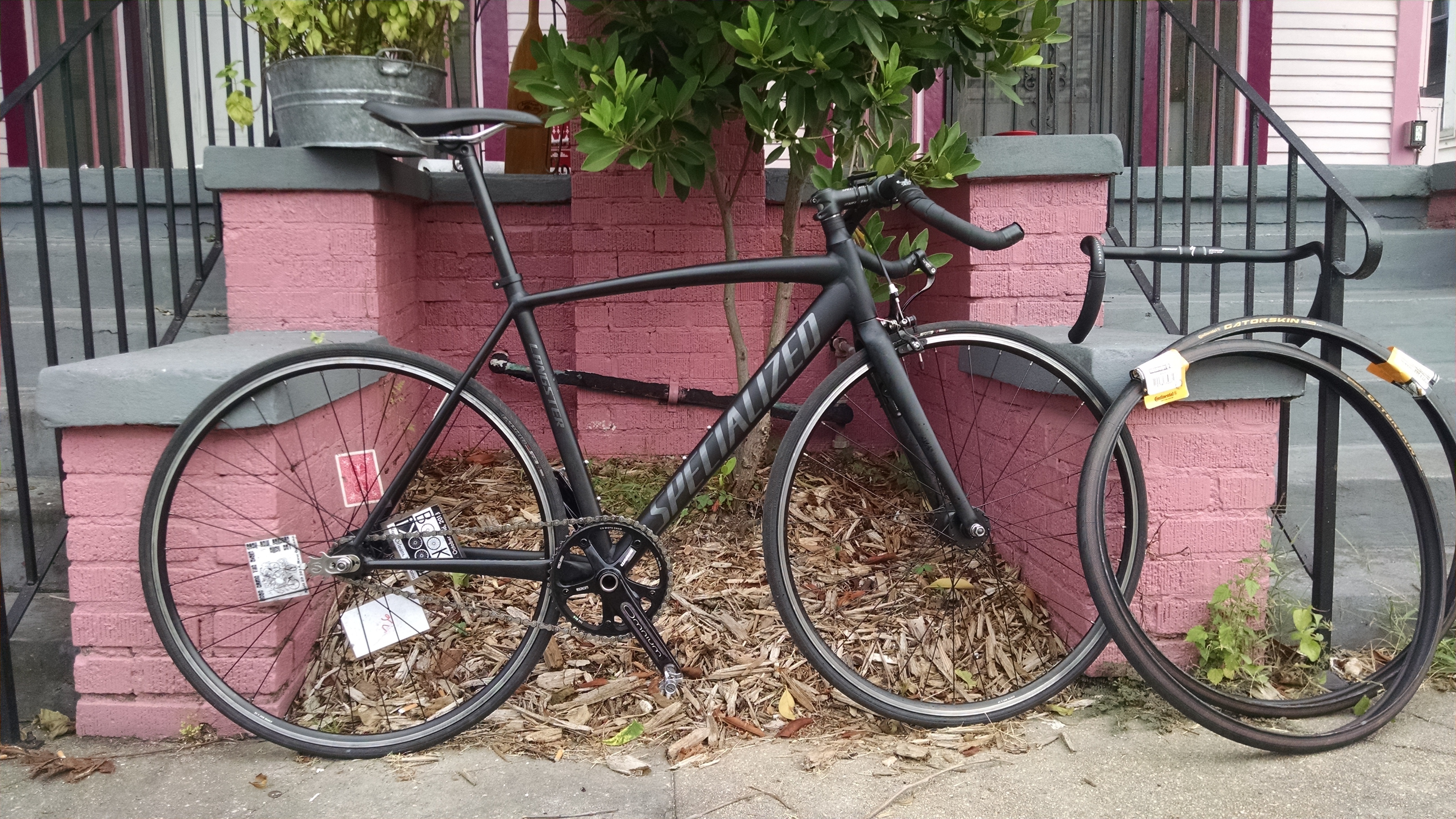 specialised langster