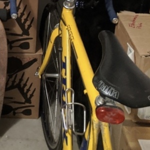 2001 Trek 1000 Yellow or Gold