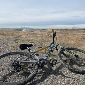 Trek Silver, gray or bare metal