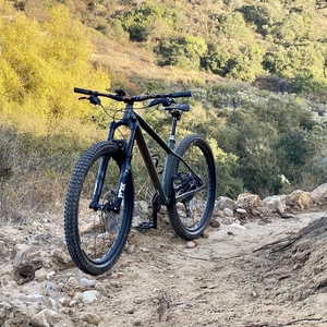 2020 Specialized Fuse Green