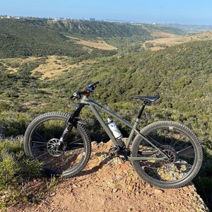 2020 Specialized Fuse Green