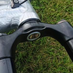 2019 Nicolai/Geometron G1 Silver, gray or bare metal