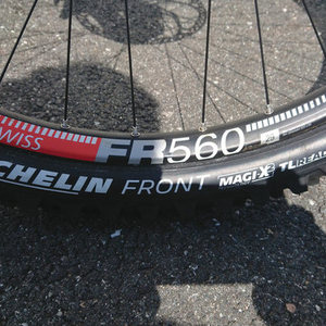 2019 Nicolai/Geometron G1 Silver, gray or bare metal