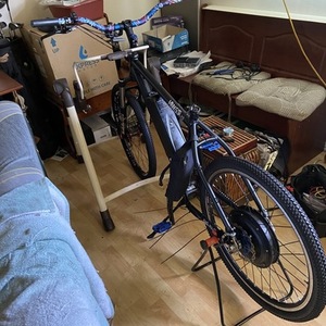 Hillbilly Custom Bikes (owner's brand) FRAMED Black