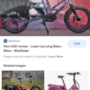 2020 Tern GSD S10 Blue