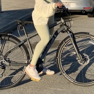 2018 Ghost S Silver, gray or bare metal