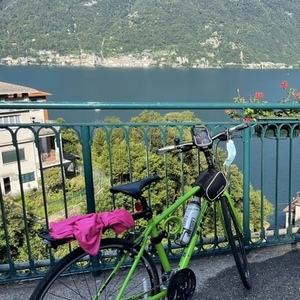 2015 Trek 7.3 FX Green