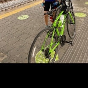2015 Trek 7.3 FX Green