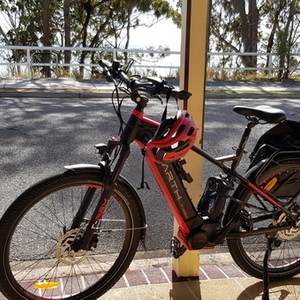 2021 Earth T-Rex 650B Red