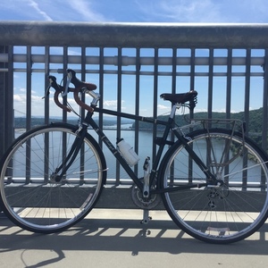 Raleigh Clubman Green