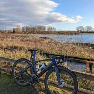 2020 Trek Madone Blue