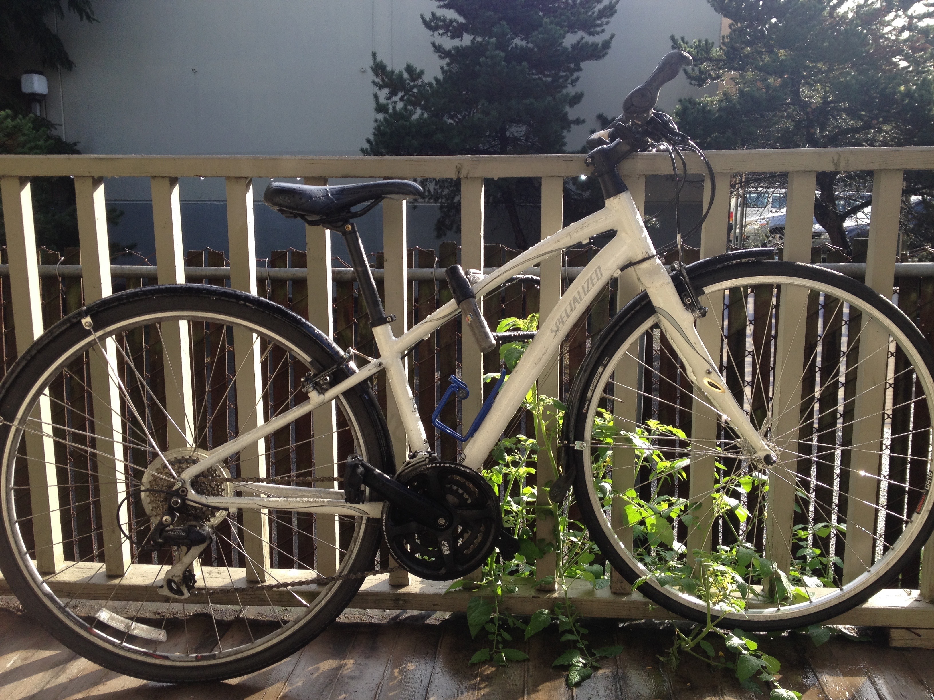 Stolen Specialized Vita