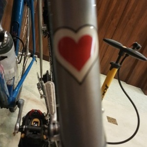 1982 De Rosa Silver, gray or bare metal