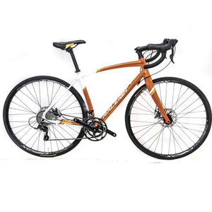 2020 Raleigh Revere 2 Orange, White, and Yellow or Gold