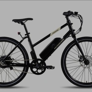 2021 Rad Power Bikes Radmission mid step Black