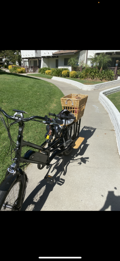 Cargo Bike Rear photo