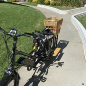 2020 Rad Power Bikes Rad Wagon 4 cargo bike (rear storage) Black