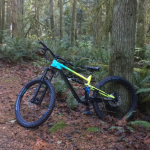 2021 Polygon Siskui T7 Teal, Green, and Black