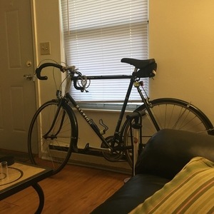 1984 Raleigh Capris Black and Silver, gray or bare metal
