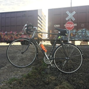 1984 Raleigh Capris Black and Silver, gray or bare metal