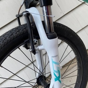 2015 Cannondale XCT Jr. White and Teal