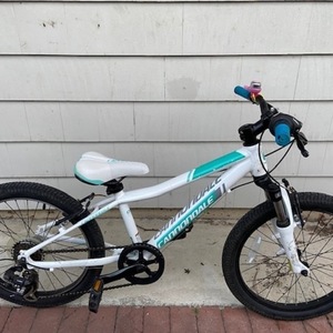 2015 Cannondale XCT Jr. White and Teal