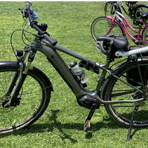 2021 Charge Xc Silver, gray or bare metal