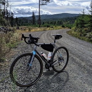 2018 Niner RLT Steel Silver, gray or bare metal