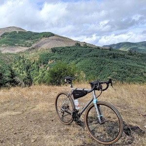 2018 Niner RLT Steel Silver, gray or bare metal