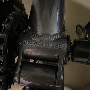 Mongoose Mountain Silver, gray or bare metal
