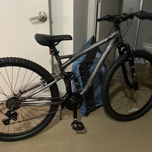 Mongoose Mountain Silver, gray or bare metal