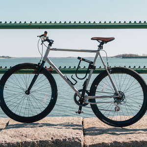 2021 Retrospec Mantra 7 Silver, gray or bare metal