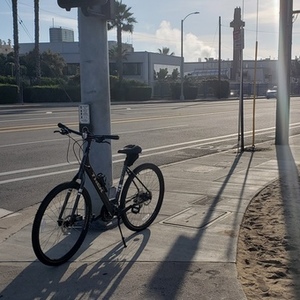 2021 Trek Verve Disc 1 - Low Step Black