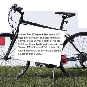 2017 Trek FX Silver, gray or bare metal