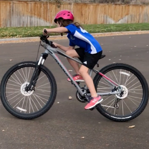 2019 Specialized Pitch Silver, gray or bare metal