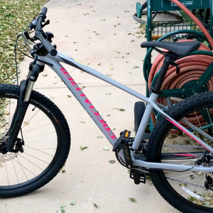 2019 Specialized Pitch Silver, gray or bare metal